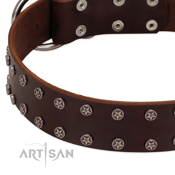 Soft to touch leather dog collar with embellishments for your dog