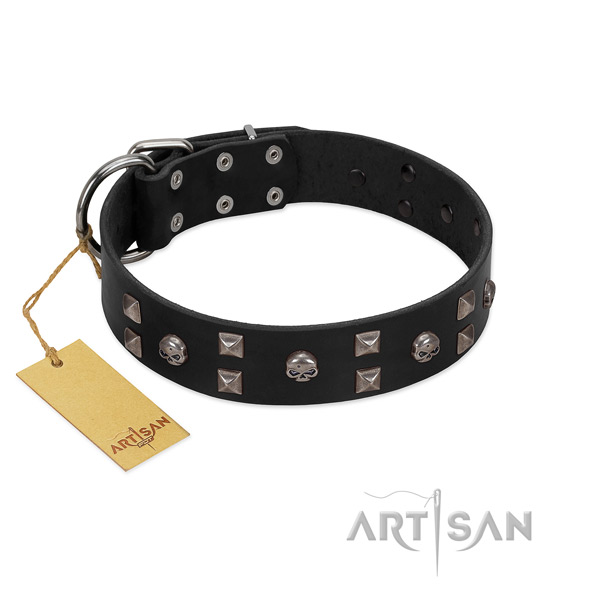 Daily use dog collar of genuine leather with exceptional decorations