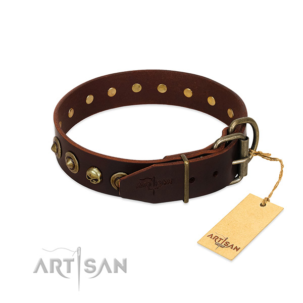 Leather collar with fashionable studs for your canine