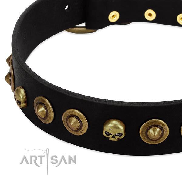 Full grain natural leather dog collar with exceptional adornments