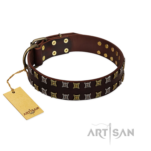 Top notch natural leather dog collar with studs for your doggie