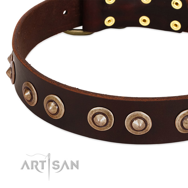 Corrosion resistant studs on full grain genuine leather dog collar for your four-legged friend