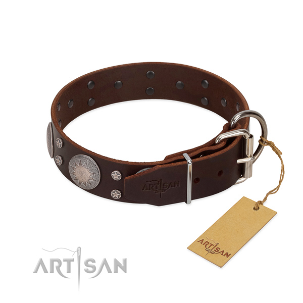 Unique studs on natural leather dog collar for everyday use