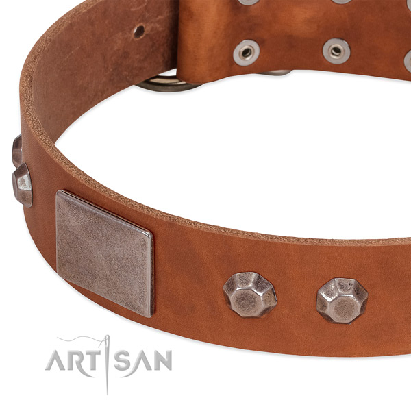 Fancy walking flexible full grain leather dog collar