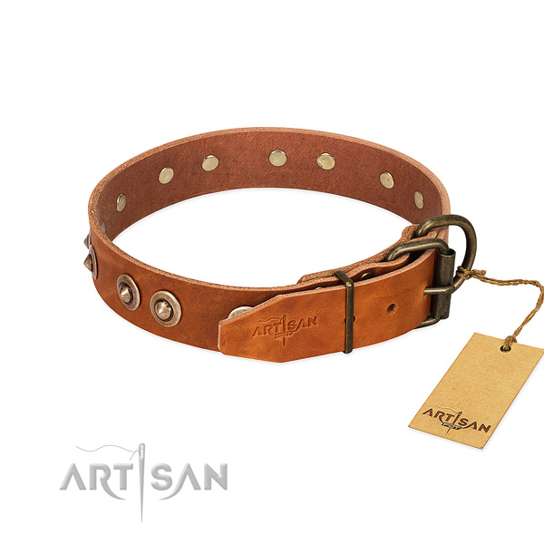 Reliable hardware on leather dog collar for your dog
