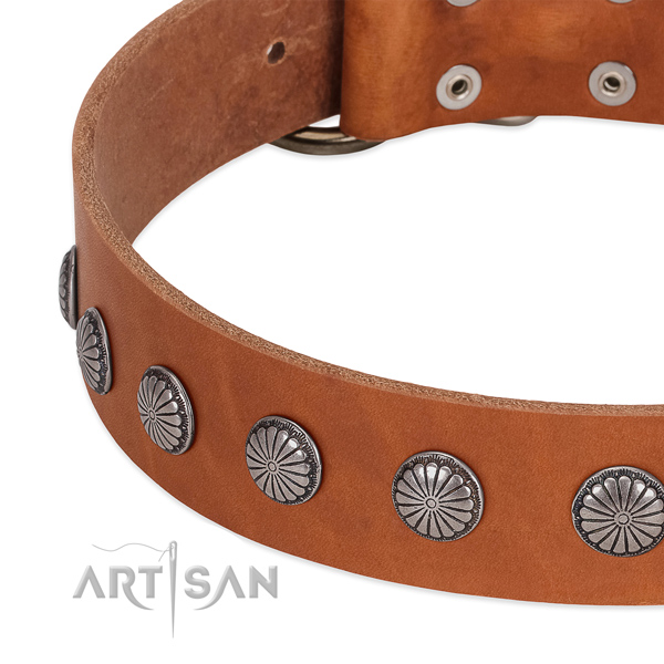 Gentle to touch full grain leather dog collar with embellishments for handy use