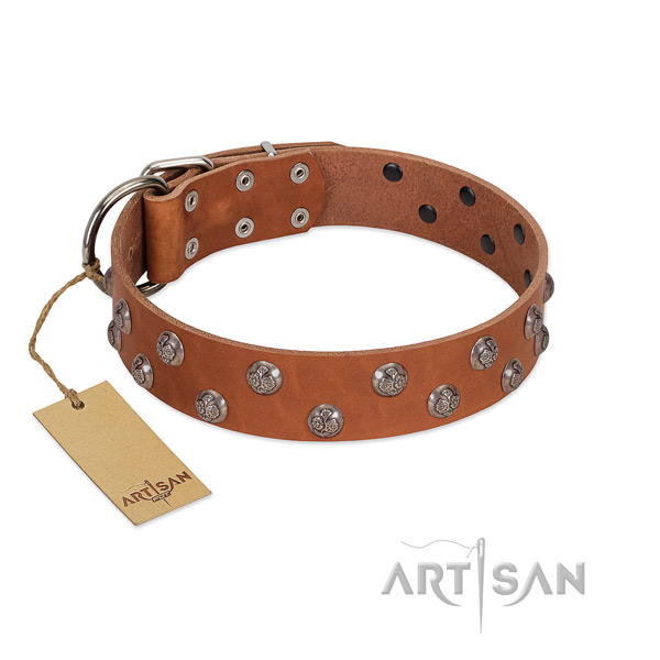 Quality genuine leather dog collar with decorations