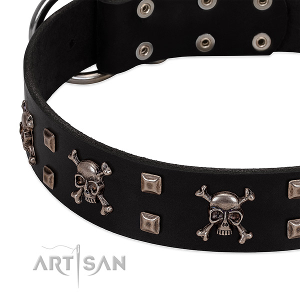 Exceptional collar of natural leather for your beautiful pet