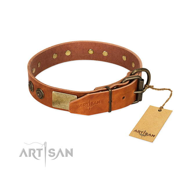 Rust resistant buckle on full grain natural leather collar for daily walking your pet