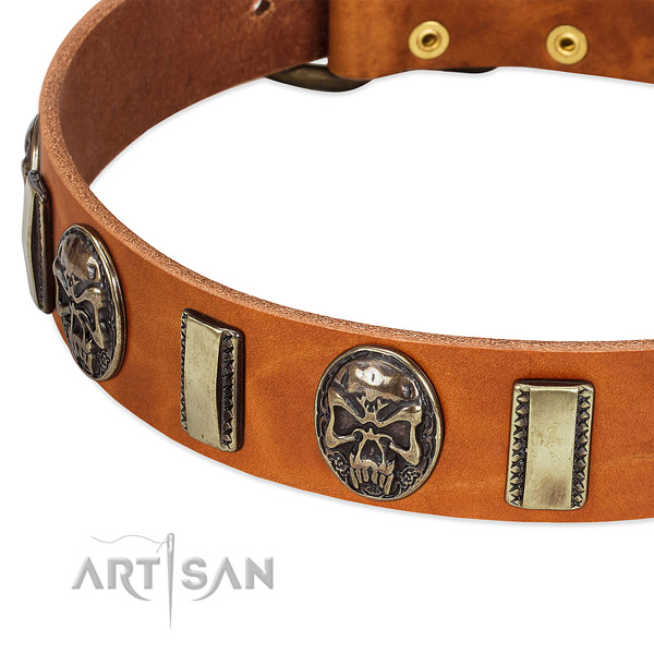 Durable fittings on full grain natural leather dog collar for your canine