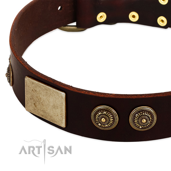 Strong D-ring on leather dog collar for your pet