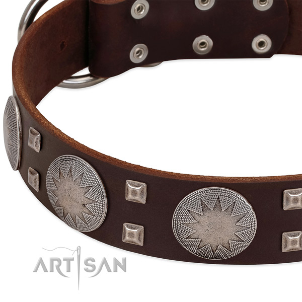 Everyday use full grain natural leather dog collar