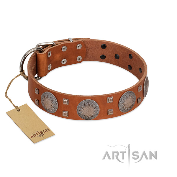 Stylish genuine leather collar for your beautiful pet