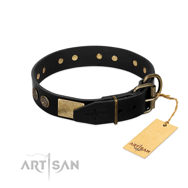 Reliable embellishments on natural leather dog collar for your doggie