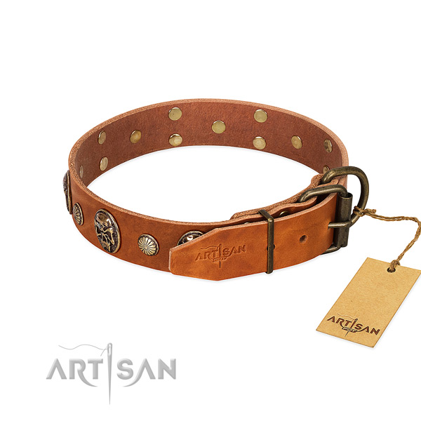 Strong buckle on full grain genuine leather collar for fancy walking your pet