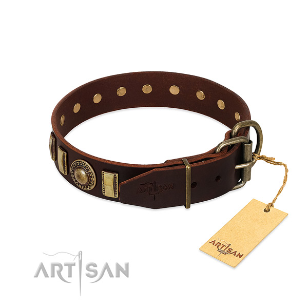 High quality natural leather dog collar with embellishments