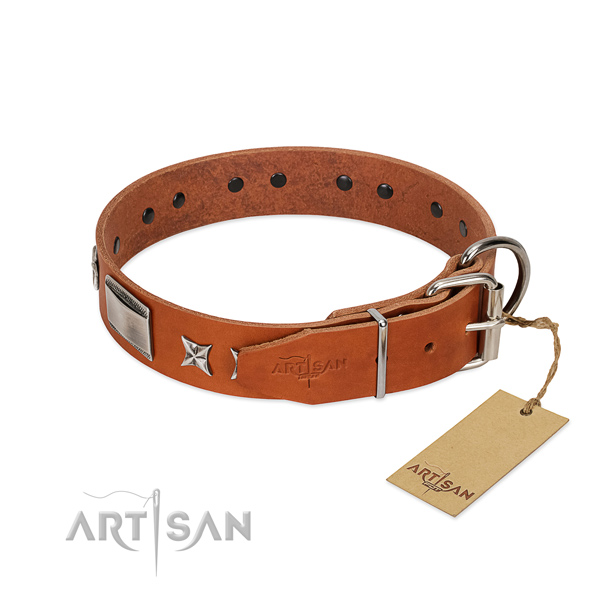 Embellished dog collar of full grain leather