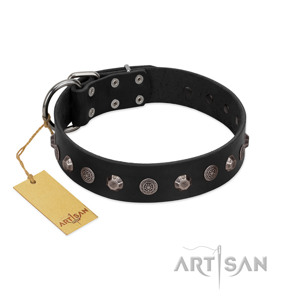 Exceptional full grain natural leather dog collar