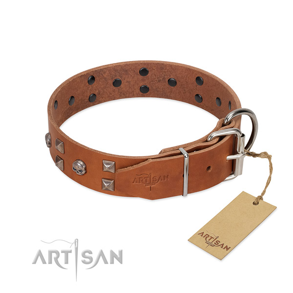 Easy to adjust full grain leather dog collar with corrosion resistant hardware