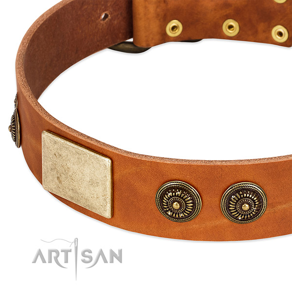 Designer dog collar crafted for your beautiful dog