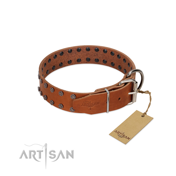 Best quality full grain leather dog collar with adornments for your canine