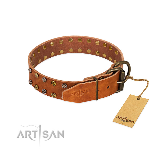 Daily use leather dog collar with amazing decorations