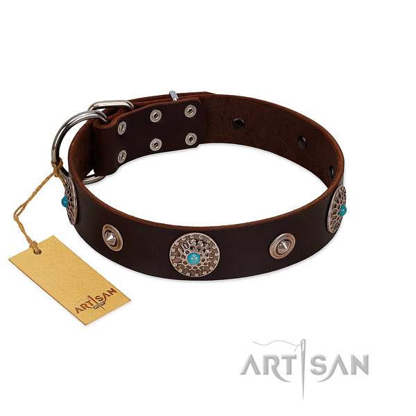 Strong natural leather dog collar created for your four-legged friend