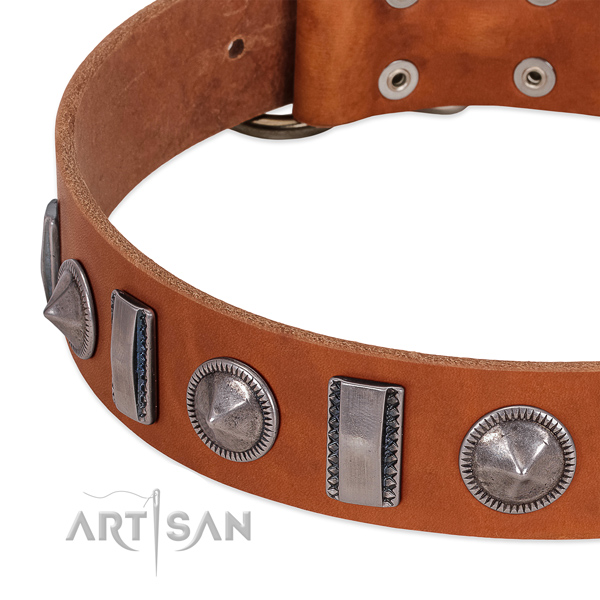 Amazing embellished full grain leather dog collar for daily use
