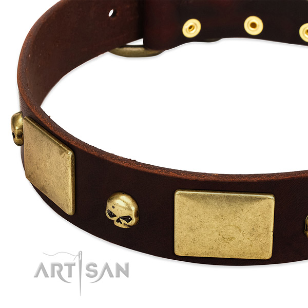 Soft to touch natural leather collar with corrosion proof adornments for your doggie