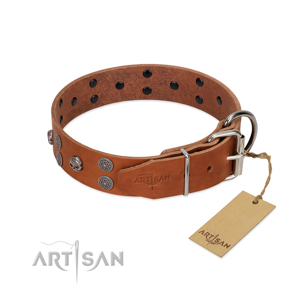 Flexible leather dog collar with decorations for fancy walking