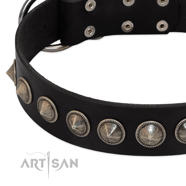 Easy wearing studded natural leather collar for your pet