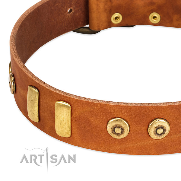 Quality full grain leather collar with incredible adornments for your dog