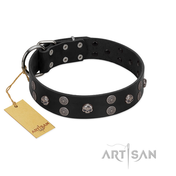 Flexible natural leather dog collar with studs for handy use