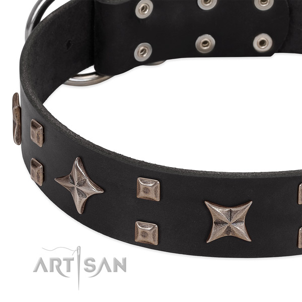 Reliable traditional buckle on genuine leather collar for walking your four-legged friend