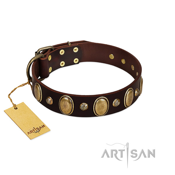 Natural leather dog collar of reliable material with incredible embellishments