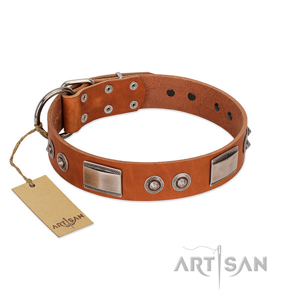 Convenient natural leather collar with embellishments for your doggie