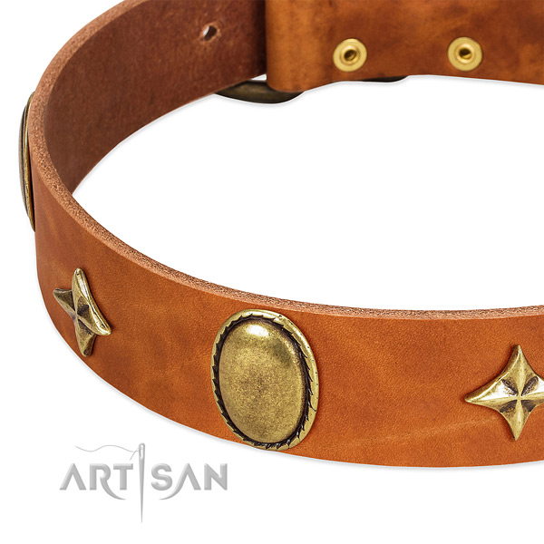 Best quality full grain genuine leather dog collar with rust resistant fittings