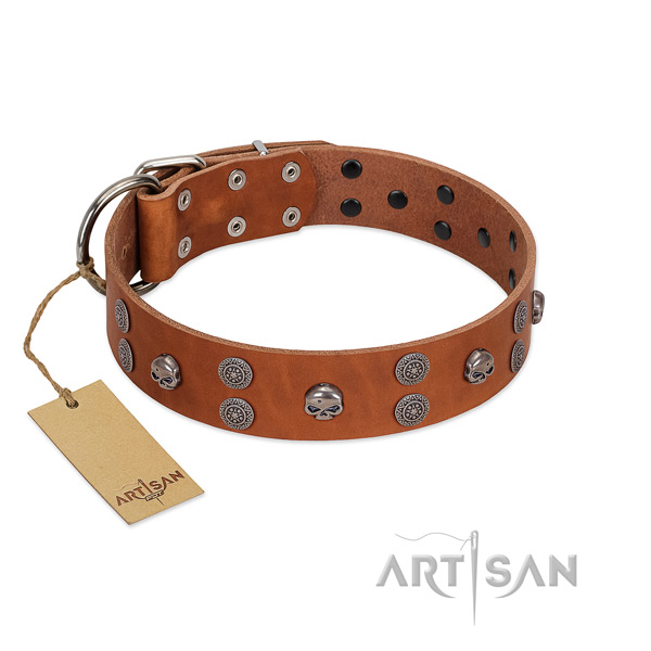 Best quality full grain genuine leather dog collar with studs for easy wearing