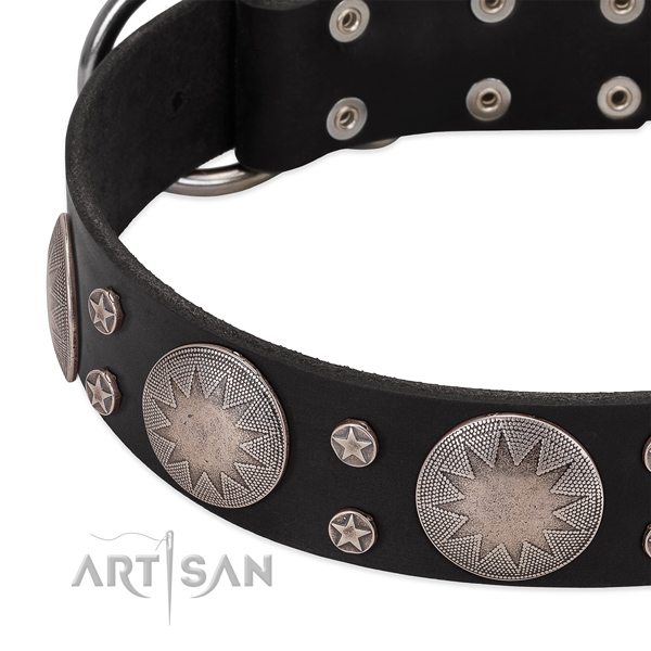 Soft to touch full grain genuine leather dog collar with embellishments for your impressive pet