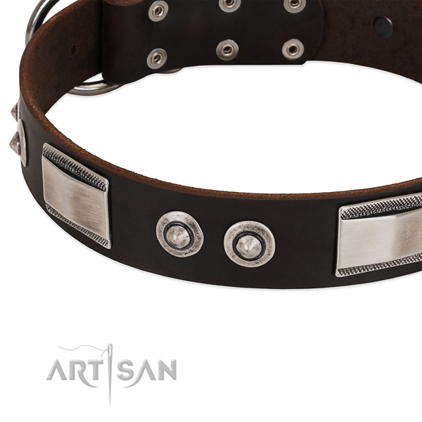 Awesome natural leather collar for your pet