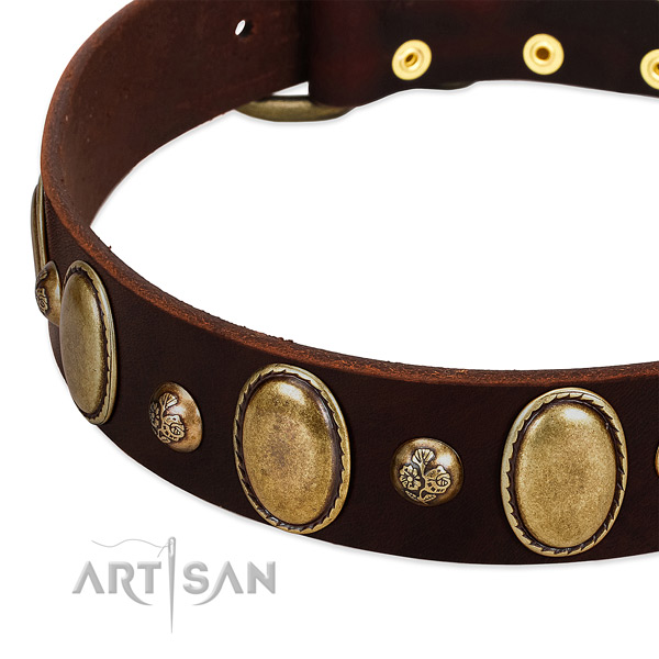 Leather dog collar with unique decorations