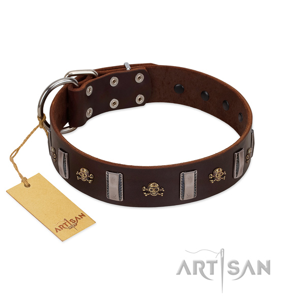Strong full grain natural leather dog collar for your attractive four-legged friend