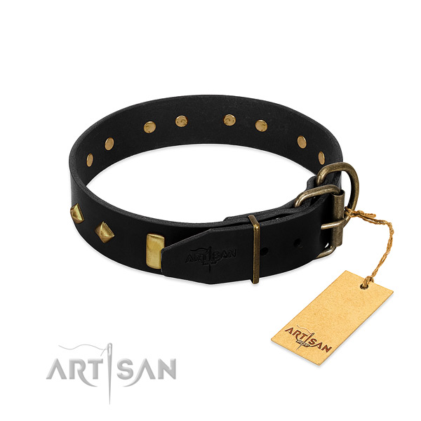 Soft to touch leather dog collar with impressive adornments
