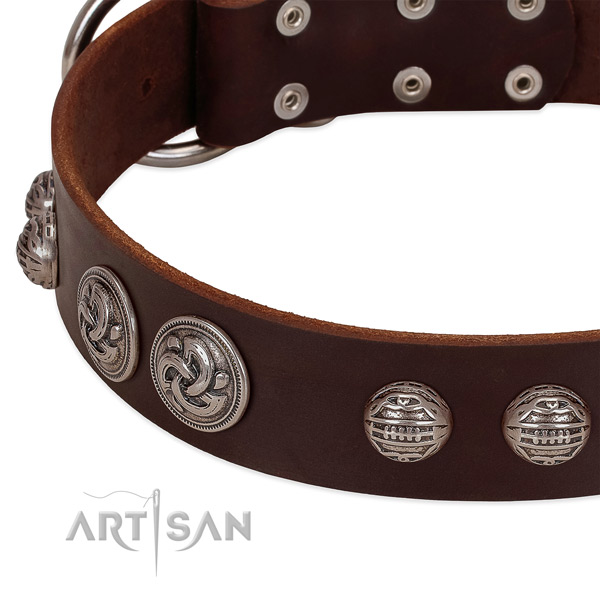 Rust-proof hardware on genuine leather collar for everyday walking your canine