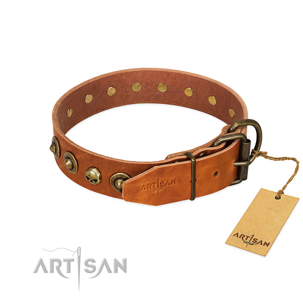 Natural leather collar with stylish adornments for your canine