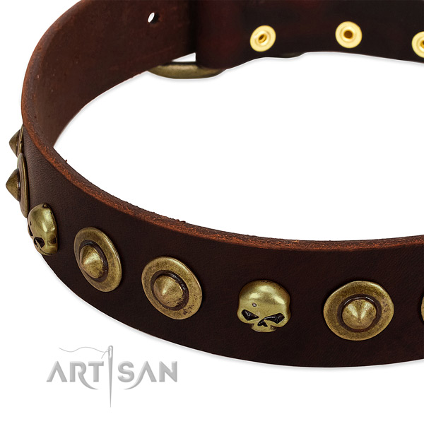 Remarkable decorations on leather collar for your canine