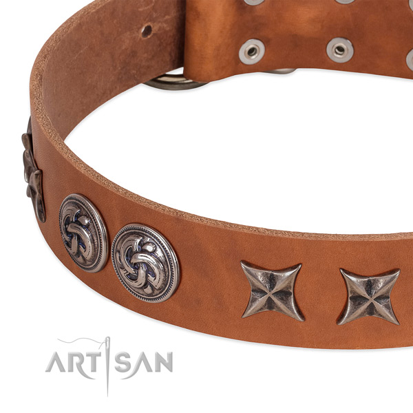 Leather collar with significant embellishments for your doggie