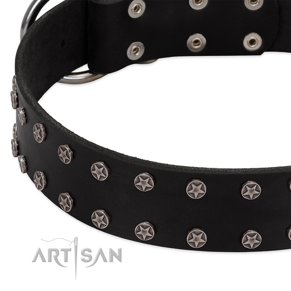Reliable full grain leather dog collar with studs for your canine