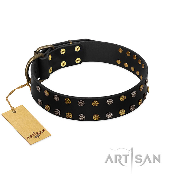 Stylish natural leather dog collar with durable decorations