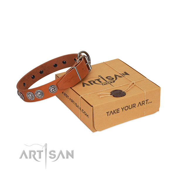 Impressive full grain natural leather collar for your pet walking in style